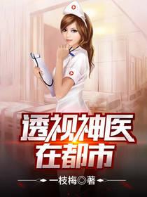 透视神医在都市一枝梅