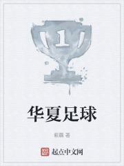 华夏足球熊猫卡金卡年费