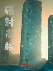 辐射高校143层攻略