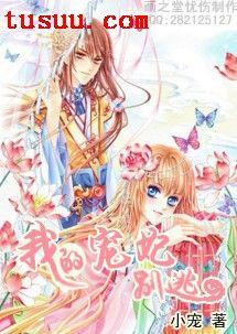 我的宠妃大人动漫