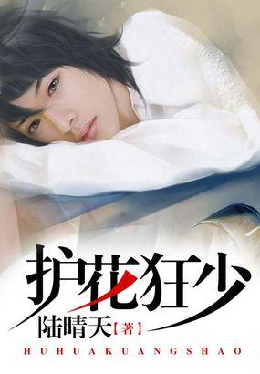 护花狂人在都市