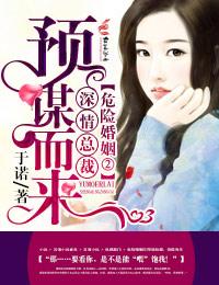 危险婚姻全文免费阅读