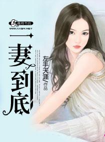 一妻一妾叫什么