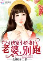 小妻别跑总裁拥入怀