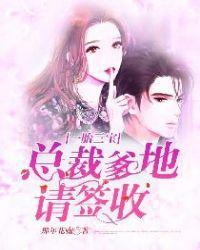 一胎三宝总裁爹地请签收短29集