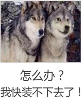 我竟成了不留姓名的大佬txt