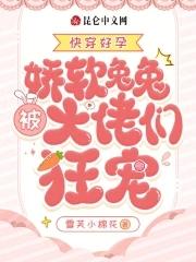 快穿好孕娇软兔兔被大佬们狂宠雪芙小棉花 著