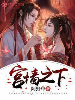 宫墙之内8个资源