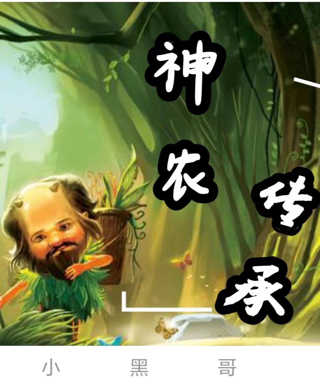 但转生巫师位面[种田