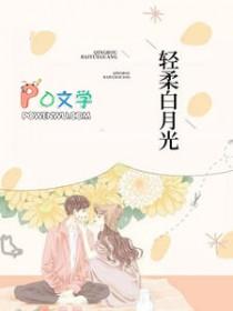轻柔白月光最新章节列表