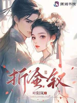 折金钗叶阳岚在线阅读