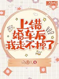 上错婚车后我走不掉了汤圆免费阅读