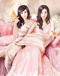 大律师的隐婚宝贝