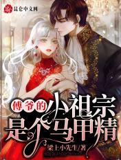 傅爷的小祖宗是个马甲精TXT免费