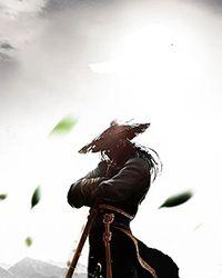 极武帝尊免费阅读