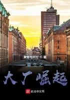 重生之大享堀起