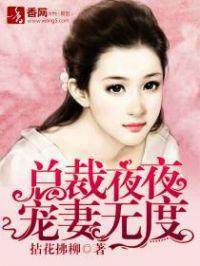 总裁老公夜夜宠