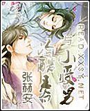 冷酷王爷与小受男妃张赫安