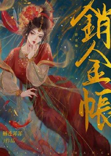 销金帐 赫连菲菲讲了什么