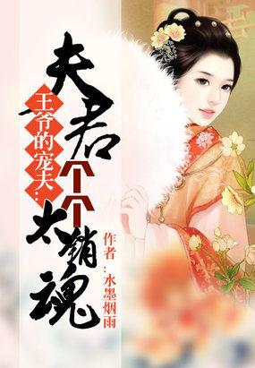 王爷的宠夫:夫君个个太销魂