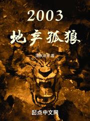 2003,地产孤狼