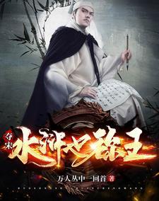 夺宋:水浒也称王